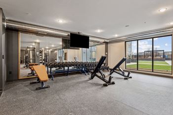 Free weights